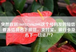 突然收到10691376962996这个号码发的短信，要冻结我名下微信，支付宝，银行卡及名下一切资产？
