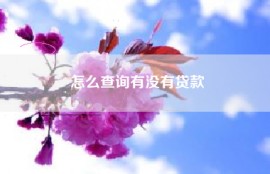 怎么查询有没有贷款
