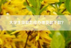 大学生贷款怎样办理贷款下款？