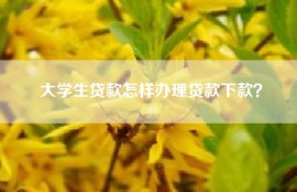 大学生贷款怎样办理贷款下款？