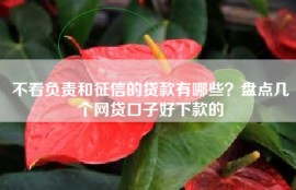 不看负责和征信的贷款有哪些？盘点几个网贷口子好下款的