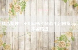精选整理！不用审核的贷款平台网贷app，不容错过