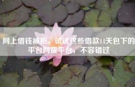 网上借钱被拒，试试这些借款14天包下的平台网贷平台，不容错过