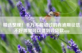 精选整理！千万不能错过的有逾期征信不好哪里可以借到钱贷款app