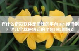 有什么借款软件是借钱的平台100%能借到？这几个就是借钱的平台100%能借到