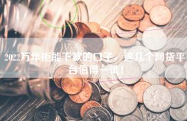 2022万年拒能下款的口子，这几个网贷平台值得一试！