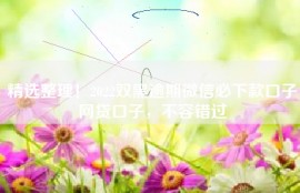 精选整理！2022双黑逾期微信必下款口子网贷口子，不容错过