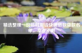 精选整理一份临时用钱快速借款贷款名单，拿走不谢