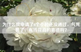 为什么我申请了6个小时还没通过，气死我了，有钱花真的靠谱吗？
