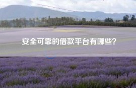 安全可靠的借款平台有哪些？
