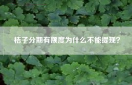 桔子分期有额度为什么不能提现？