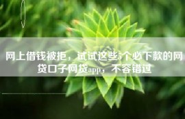 网上借钱被拒，试试这些5个必下款的网贷口子网贷app，不容错过