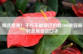 精选整理！千万不能错过的借1000块钱临时急用借款口子