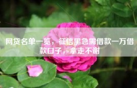 网贷名单一览，征信黑急需借款一万借款口子，拿走不谢