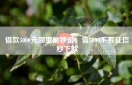 借款5000元哪里能秒借，借5000不看征信秒下款