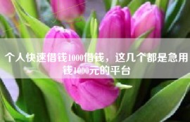 个人快速借钱1000借钱，这几个都是急用钱1000元的平台