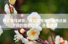 网上借钱被拒，试试这些黑户逾期还能下款的借款口子，不容错过