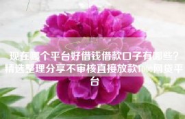 现在哪个平台好借钱借款口子有哪些？精选整理分享不审核直接放款1000网贷平台