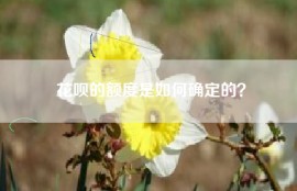 花呗的额度是如何确定的？