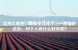 信用比较好，借款十几年了，一直准时还款，对个人有什么好处呢？