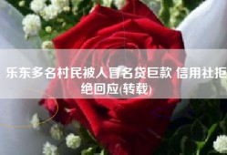 乐东多名村民被人冒名贷巨款 信用社拒绝回应(转载)