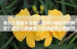 有什么借款平台是一定可以借到钱的网贷？这几个就是借一千块钱秒下的软件