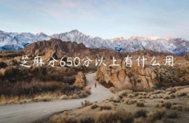 芝麻分650分以上有什么用
