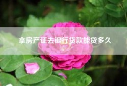 拿房产证去银行贷款能贷多久