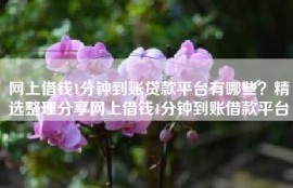 网上借钱1分钟到账贷款平台有哪些？精选整理分享网上借钱1分钟到账借款平台