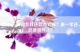建行快e贷款怎样还款方式呀？是一年还，还是按月还？