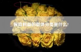 保险利益的载体分类是什么?