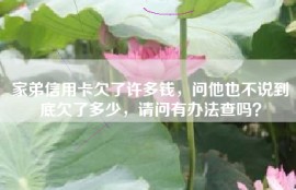 家弟信用卡欠了许多钱，问他也不说到底欠了多少，请问有办法查吗？