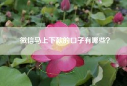 微信马上下款的口子有哪些？
