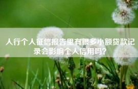 人行个人征信报告里有很多小额贷款记录会影响个人信用吗？