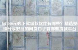 借1000元必下款借款软件有哪些？精选整理分享好批的网贷口子有哪些贷款平台