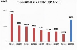 无积蓄无社保，失业深圳地产中介挣扎求生