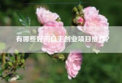 有哪些好的自主创业项目推荐？