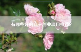 有哪些好的自主创业项目推荐？