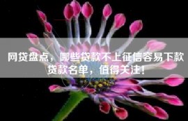 网贷盘点，哪些贷款不上征信容易下款贷款名单，值得关注！