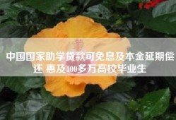 中国国家助学贷款可免息及本金延期偿还 惠及400多万高校毕业生