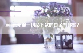 3000元无视一切必下款的口子有哪些？