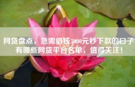 网贷盘点，急需借钱3000元秒下款的口子有哪些网贷平台名单，值得关注！