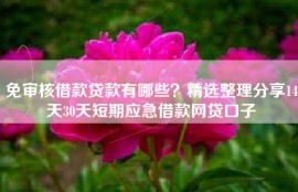 免审核借款贷款有哪些？精选整理分享14天30天短期应急借款网贷口子