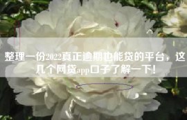 整理一份2022真正逾期也能贷的平台，这几个网贷app口子了解一下！