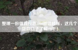 整理一份借钱应急3000微信转账，这几个贷款口子了解一下！