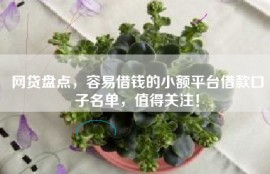 网贷盘点，容易借钱的小额平台借款口子名单，值得关注！