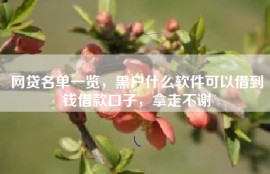 网贷名单一览，黑户什么软件可以借到钱借款口子，拿走不谢
