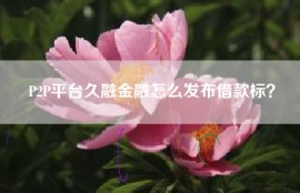 P2P平台久融金融怎么发布借款标？