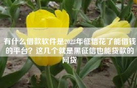 有什么借款软件是2022年征信花了能借钱的平台？这几个就是黑征信也能贷款的网贷