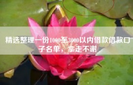 精选整理一份1000至3000以内借款借款口子名单，拿走不谢